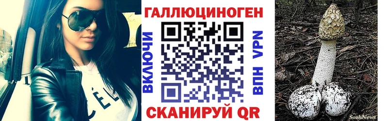 Псилоцибиновые грибы GOLDEN TEACHER  Купить где  Ейск 